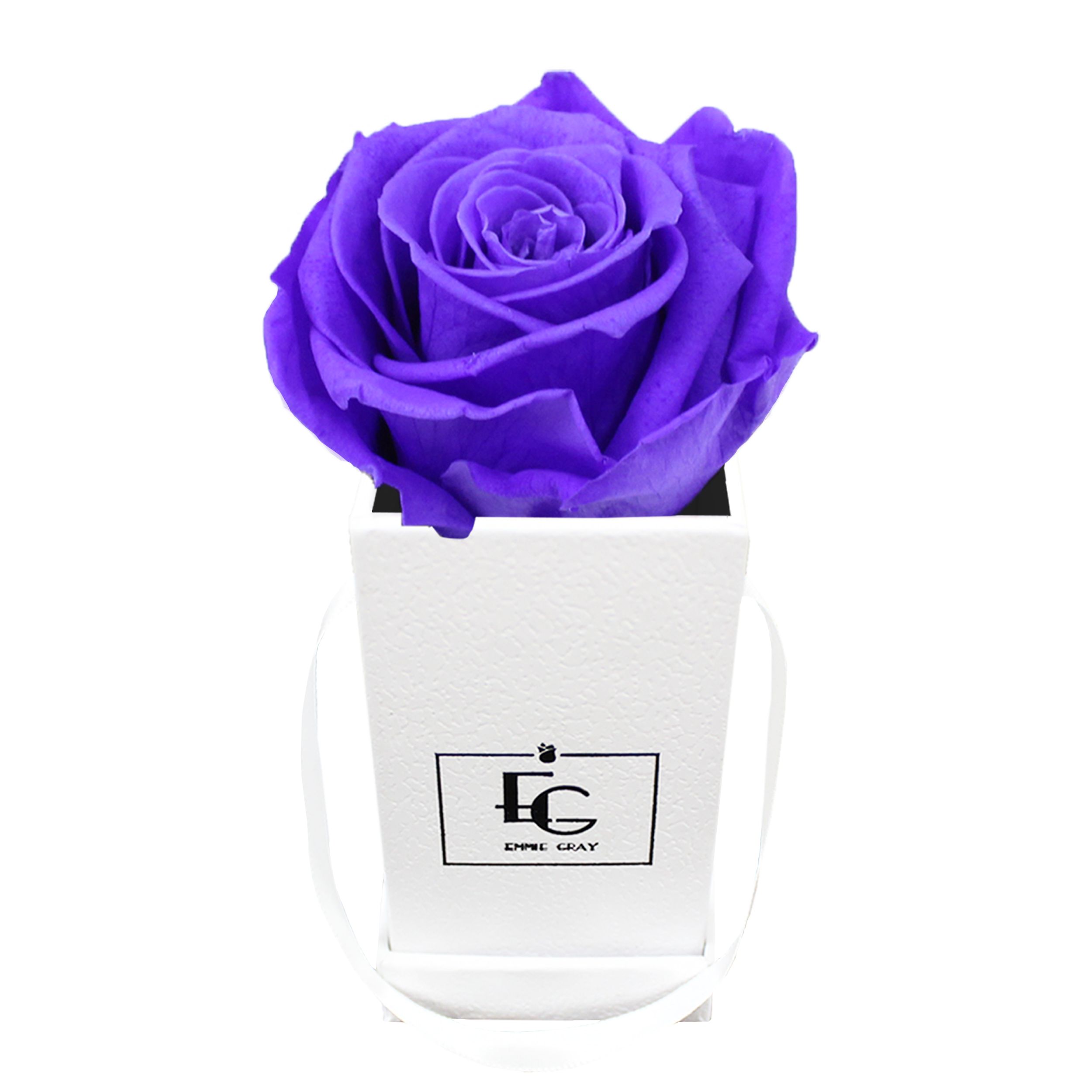 CLASSIC INFINITY ROSEBOX | VIOLET VAIN | XXS