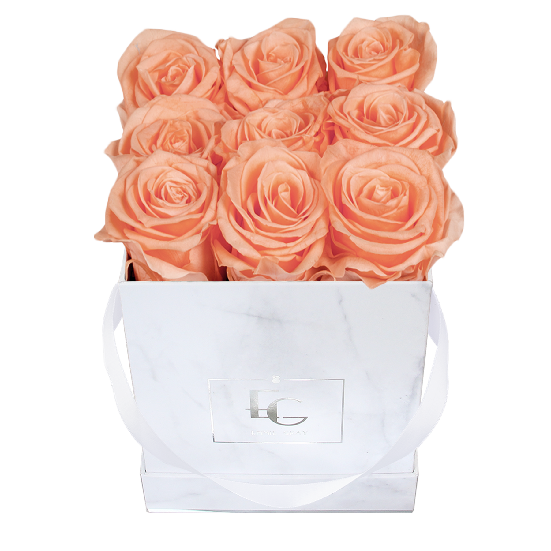 Classic Infinity Rosebox | Perfect Peach | S