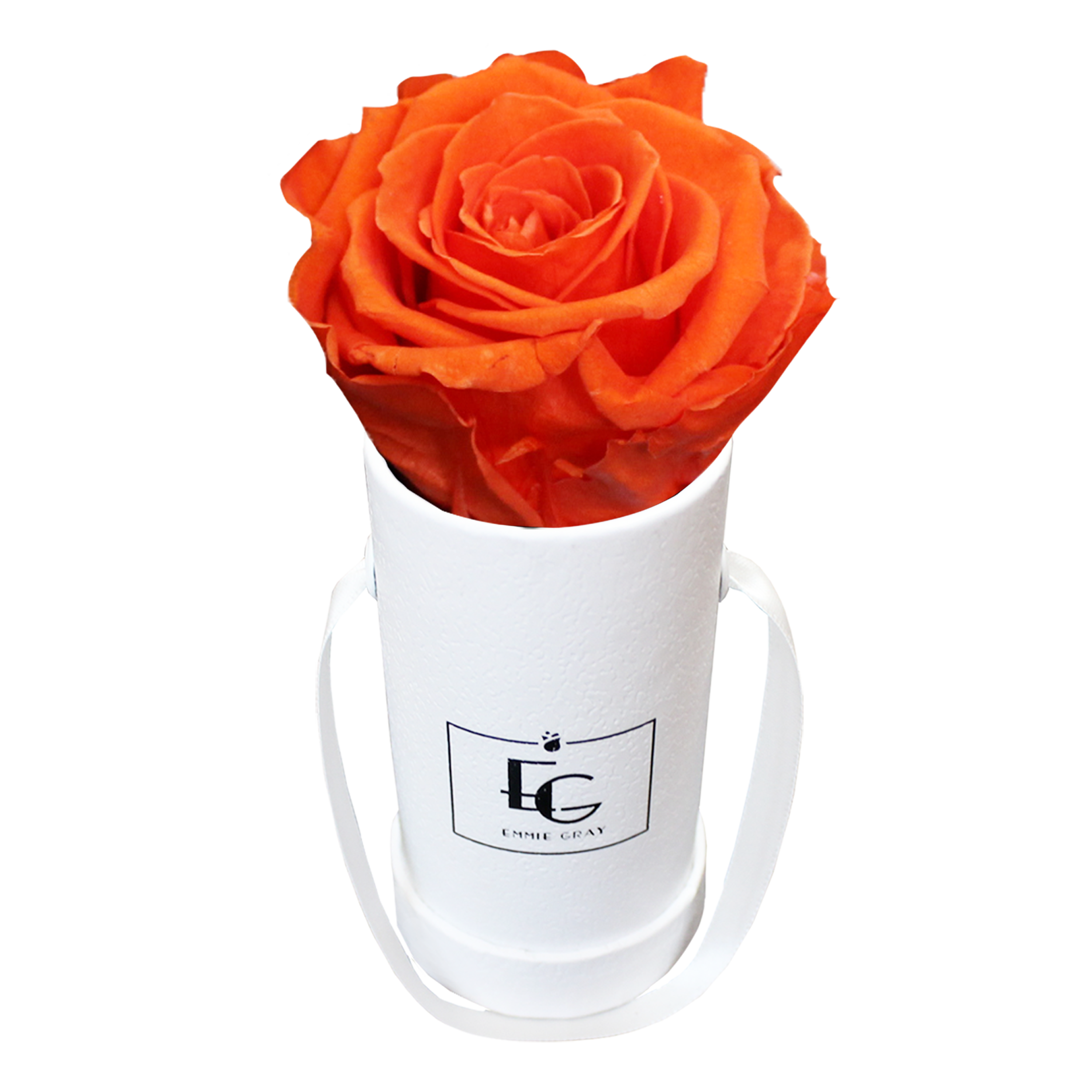 CLASSIC INFINITY ROSEBOX | ORANGE FLAME | XXS