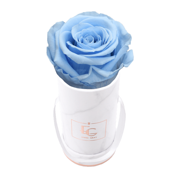 Classic Infinity Rosebox | Baby Blue | XXS