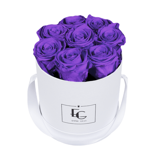 CLASSIC INFINITY ROSEBOX | VIOLET VAIN | S