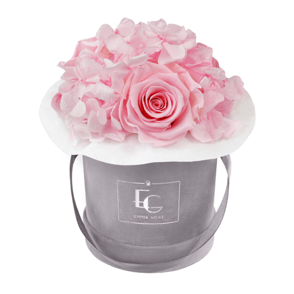 Splendid Hydrangea Infinity Rosebox | Bridal Pink | XS