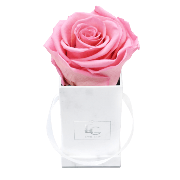 Classic Infinity Rosebox | Bridal Pink | XXS