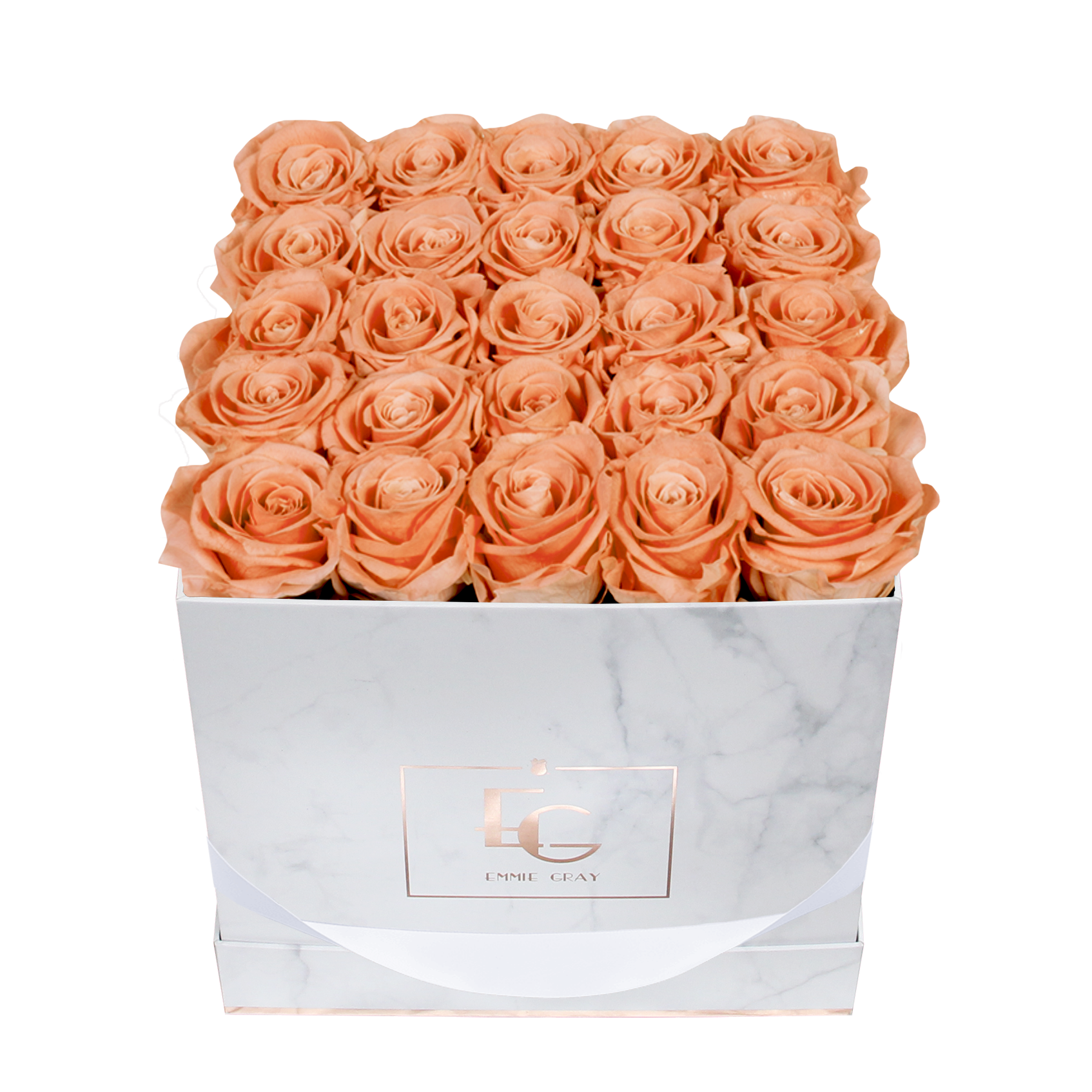 Classic Infinity Rosebox | Perfect Peach | M