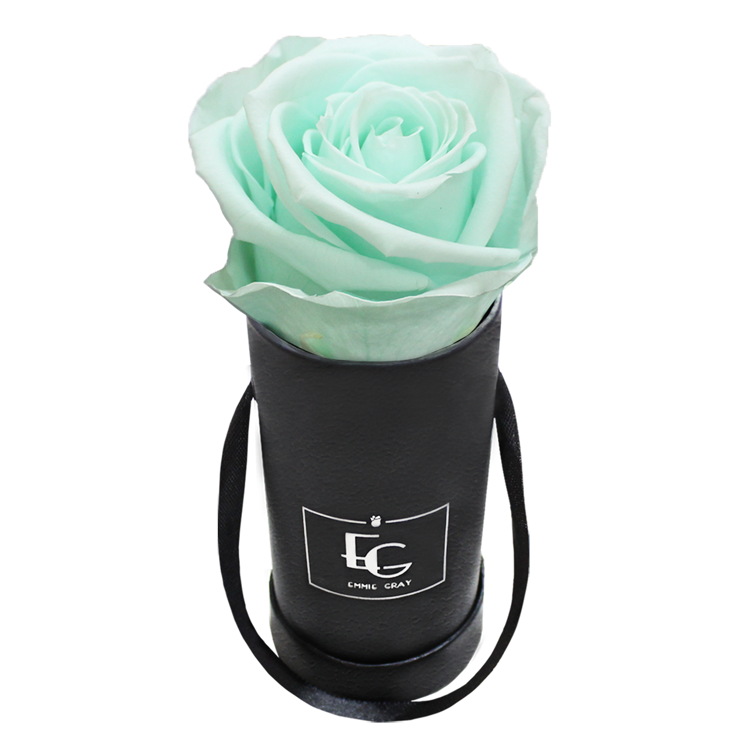 CLASSIC INFINITY ROSEBOX | MINTY GREEN | XXS