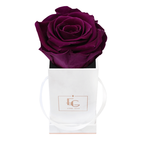 Classic Infinity Rosebox | Velvet Plum | XXS