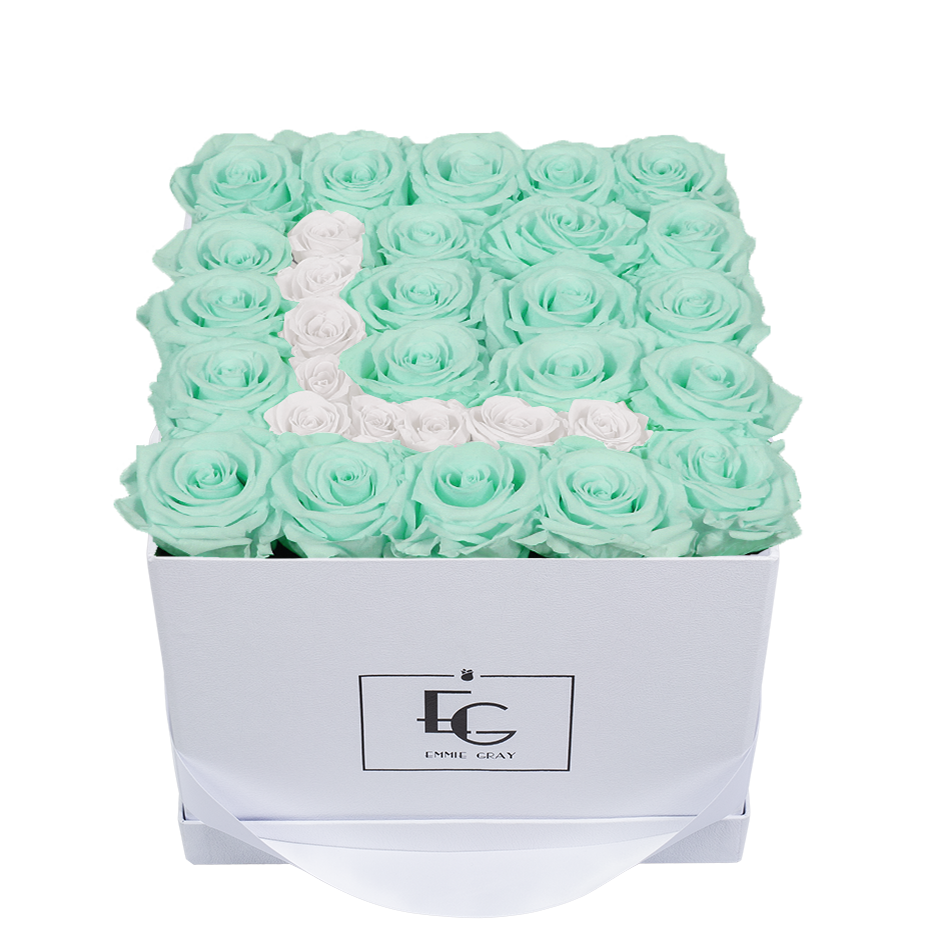 LETTER INFINITY ROSEBOX | MINTY GREEN & PURE WHITE | M