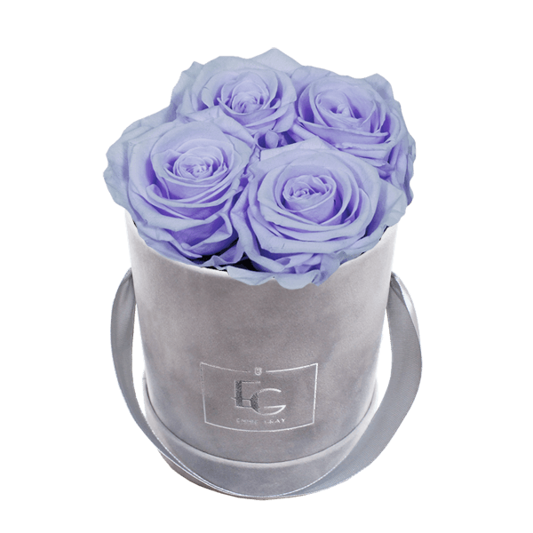 CLASSIC INFINITY ROSEBOX | COOL LAVENDER | XS