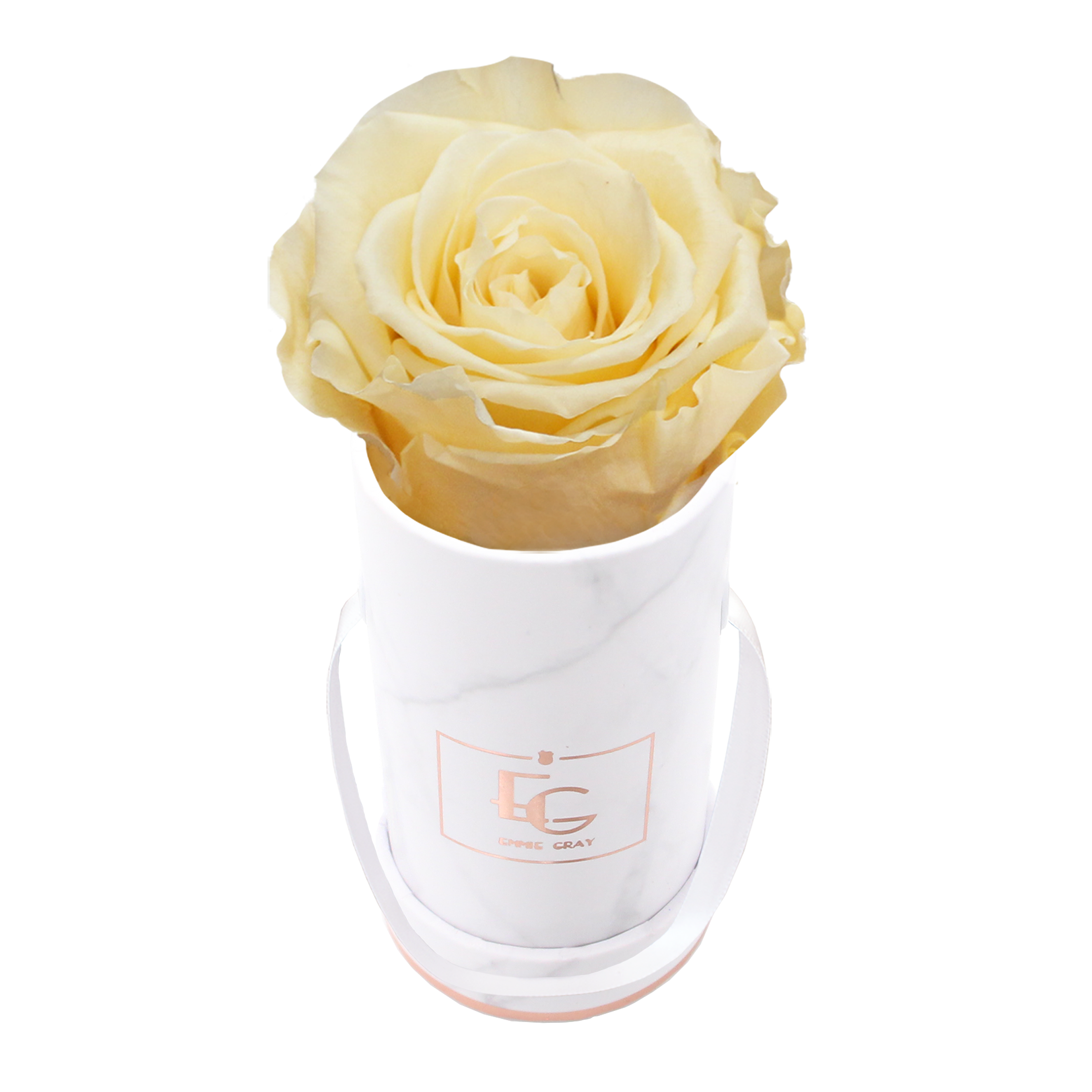 Classic Infinity Rosebox | Champagne | XXS