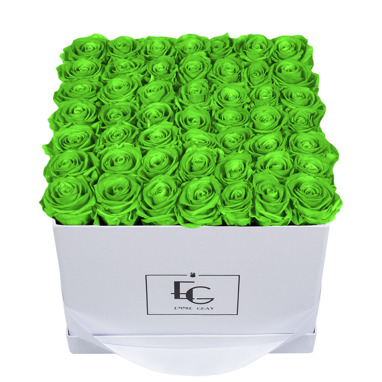 CLASSIC INFINITY ROSEBOX | GREEN GLOW | L