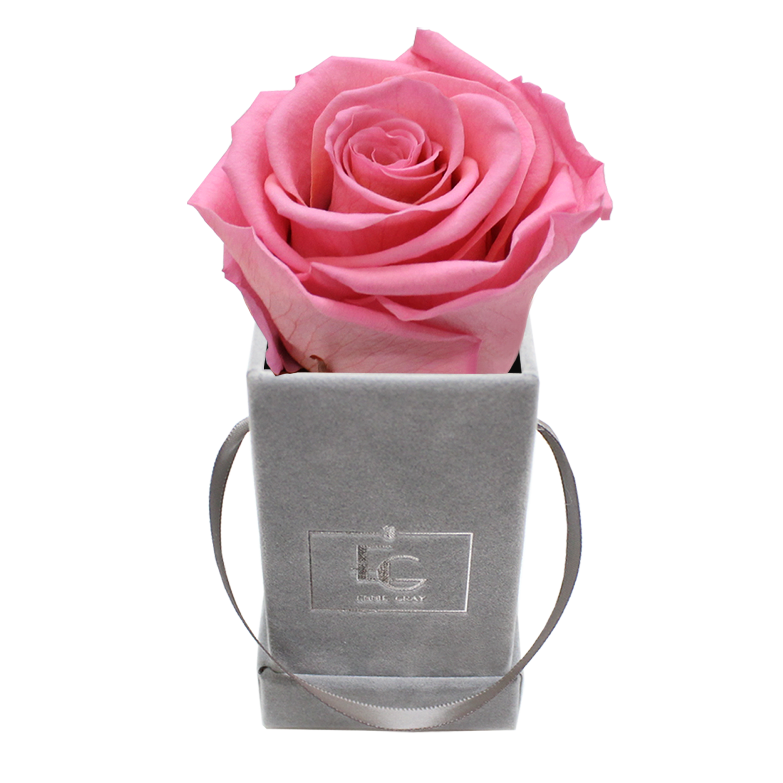 CLASSIC INFINITY ROSEBOX | BABY PINK | XXS CLASSIC INFINITY ROSEBOX | BABY PINK | XXS