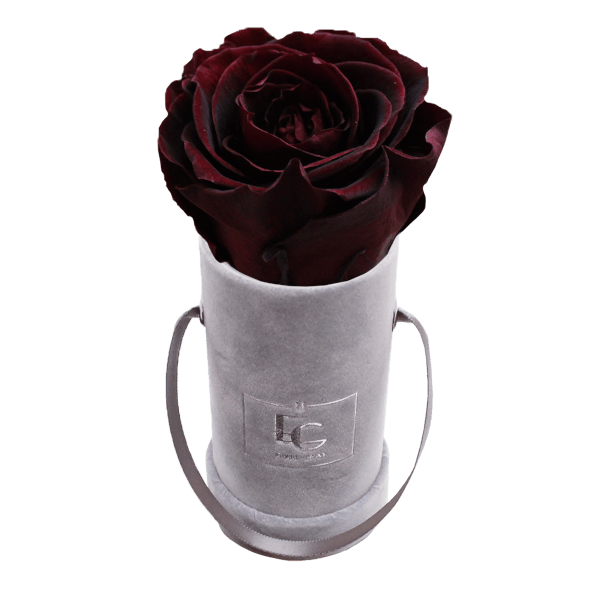 CLASSIC INFINITY ROSEBOX | BURGUNDY | XXS