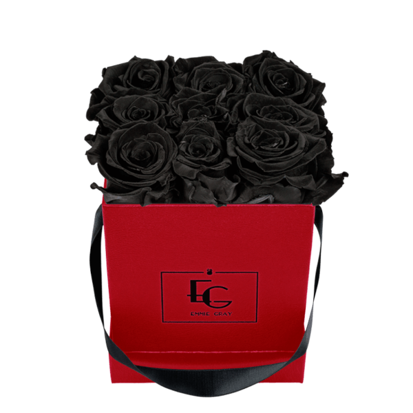 CLASSIC INFINITY ROSEBOX | BLACK BEAUTY | S