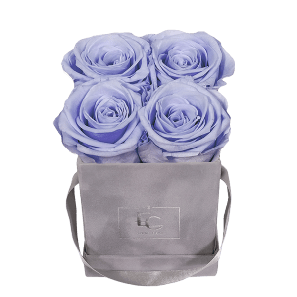 CLASSIC INFINITY ROSEBOX | COOL LAVENDER | XS