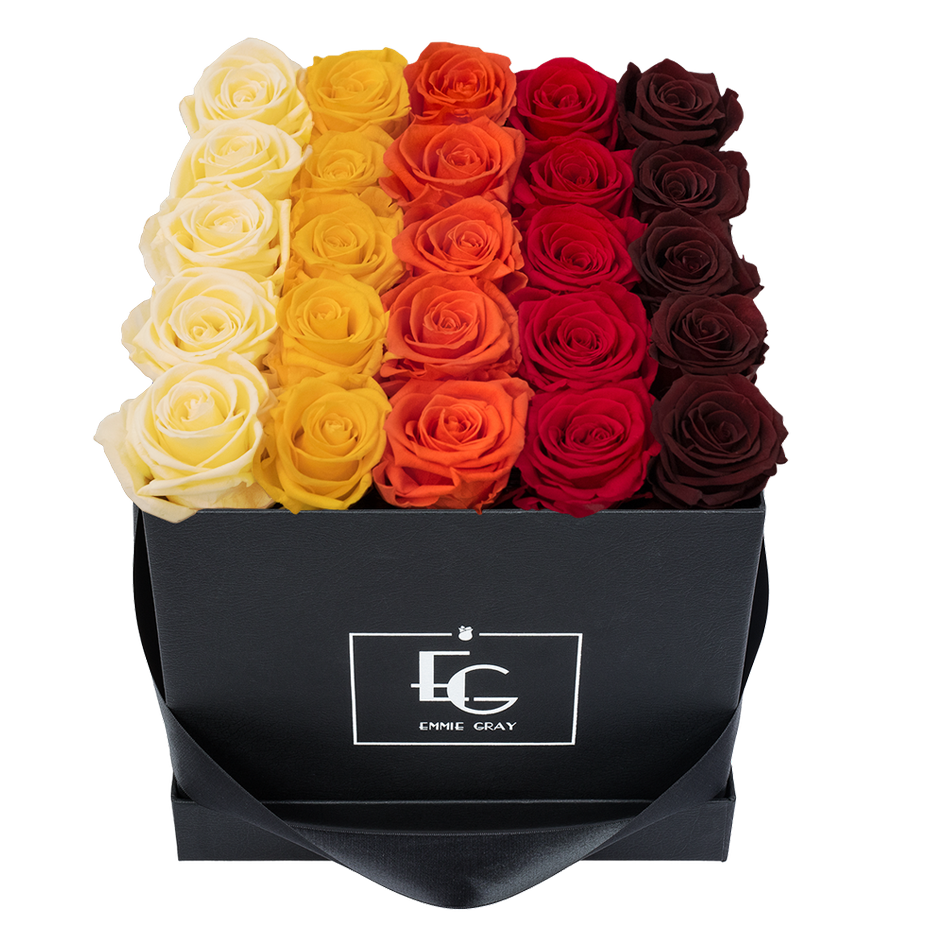 SHADES INFINITY ROSEBOX | CHAMPAGNE & PERFECT PEACH & ORANGE FLAME & VIBRANT RED & BURGUNDY | M