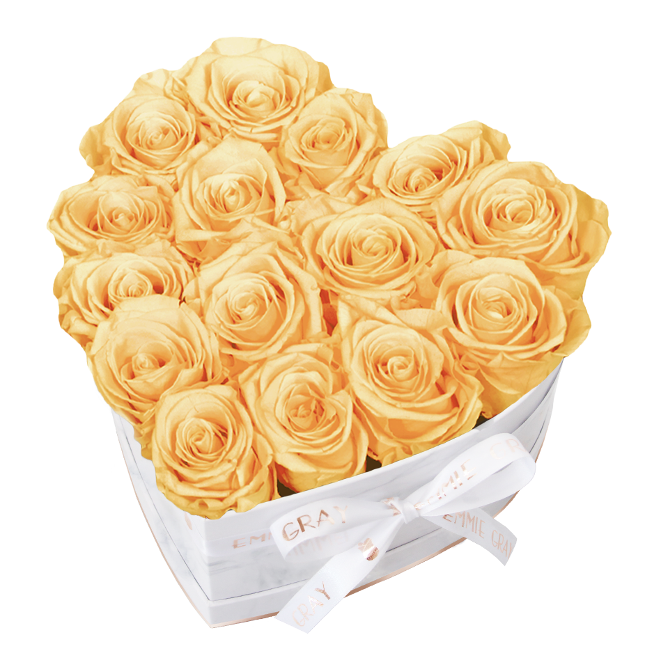 Classic Infinity Rosebox | Champagne | M