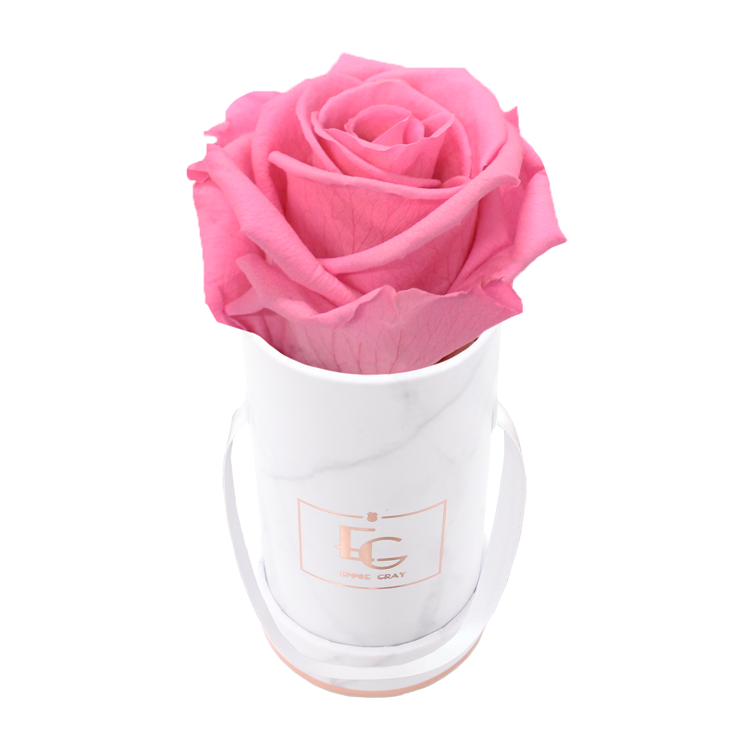 Classic Infinity Rosebox | Baby Pink | XXS