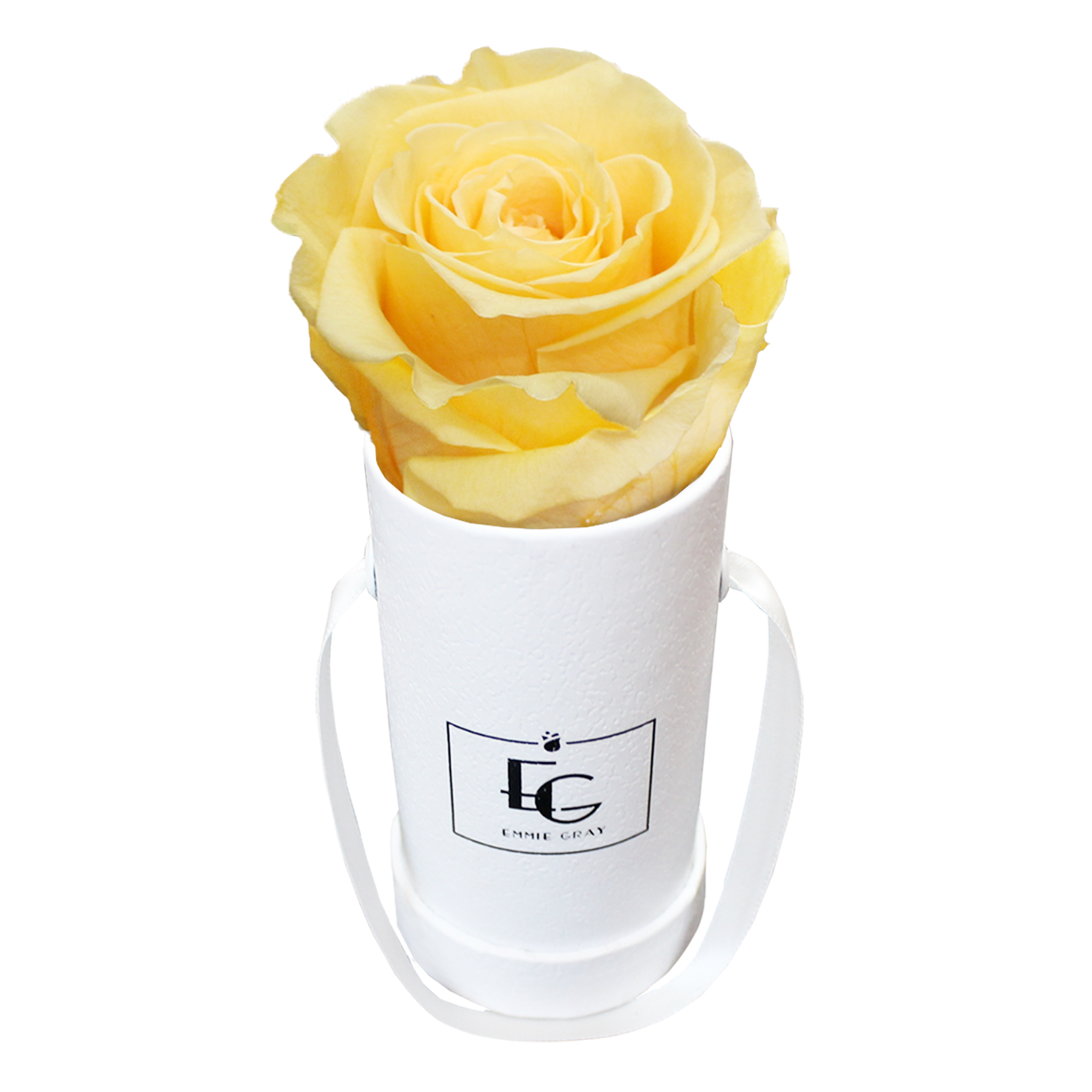 CLASSIC INFINITY ROSEBOX | PERFECT PEACH | XXS