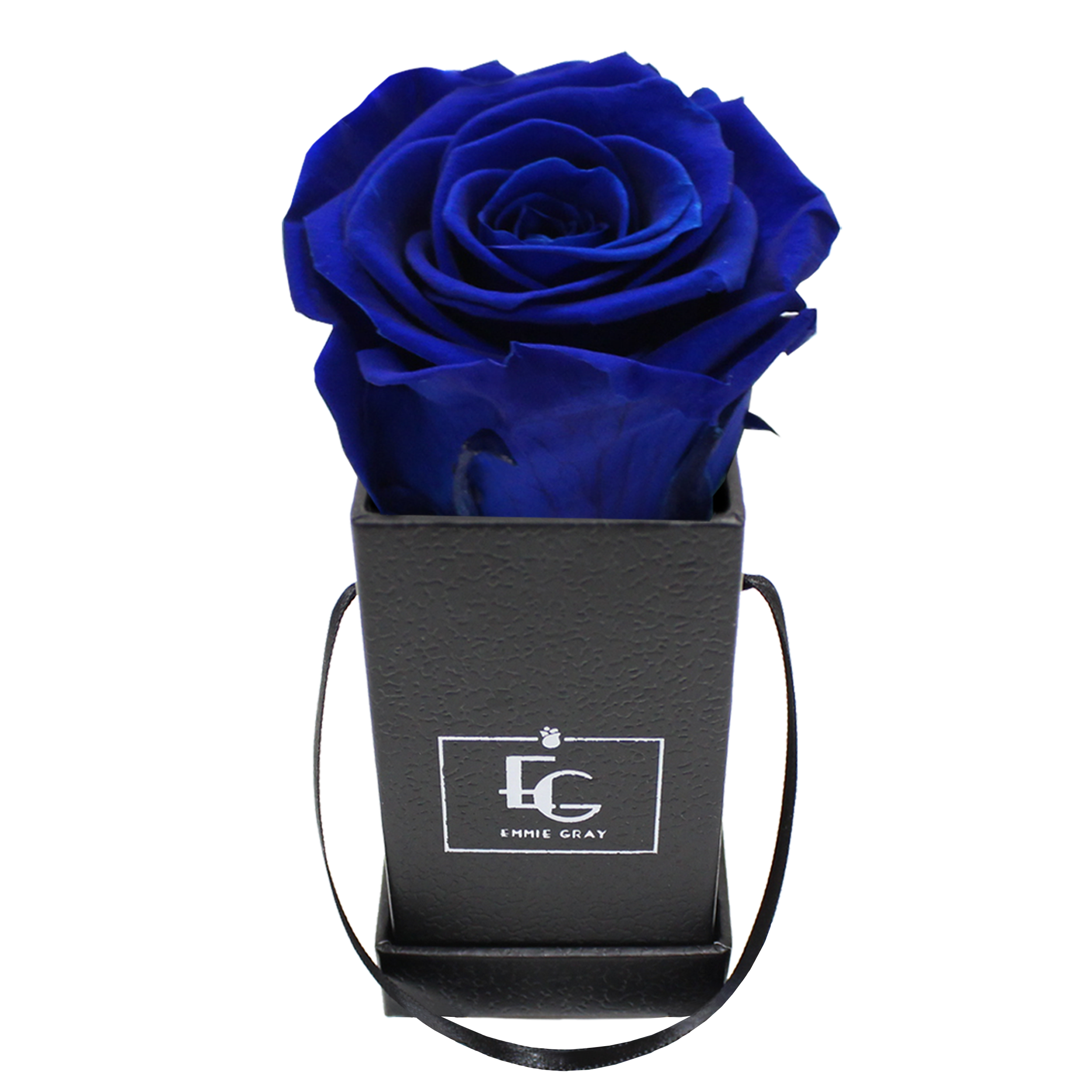 CLASSIC INFINITY ROSEBOX | OCEAN BLUE | XXS