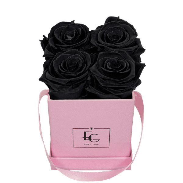 CLASSIC INFINITY ROSEBOX | BLACK BEAUTY | XS