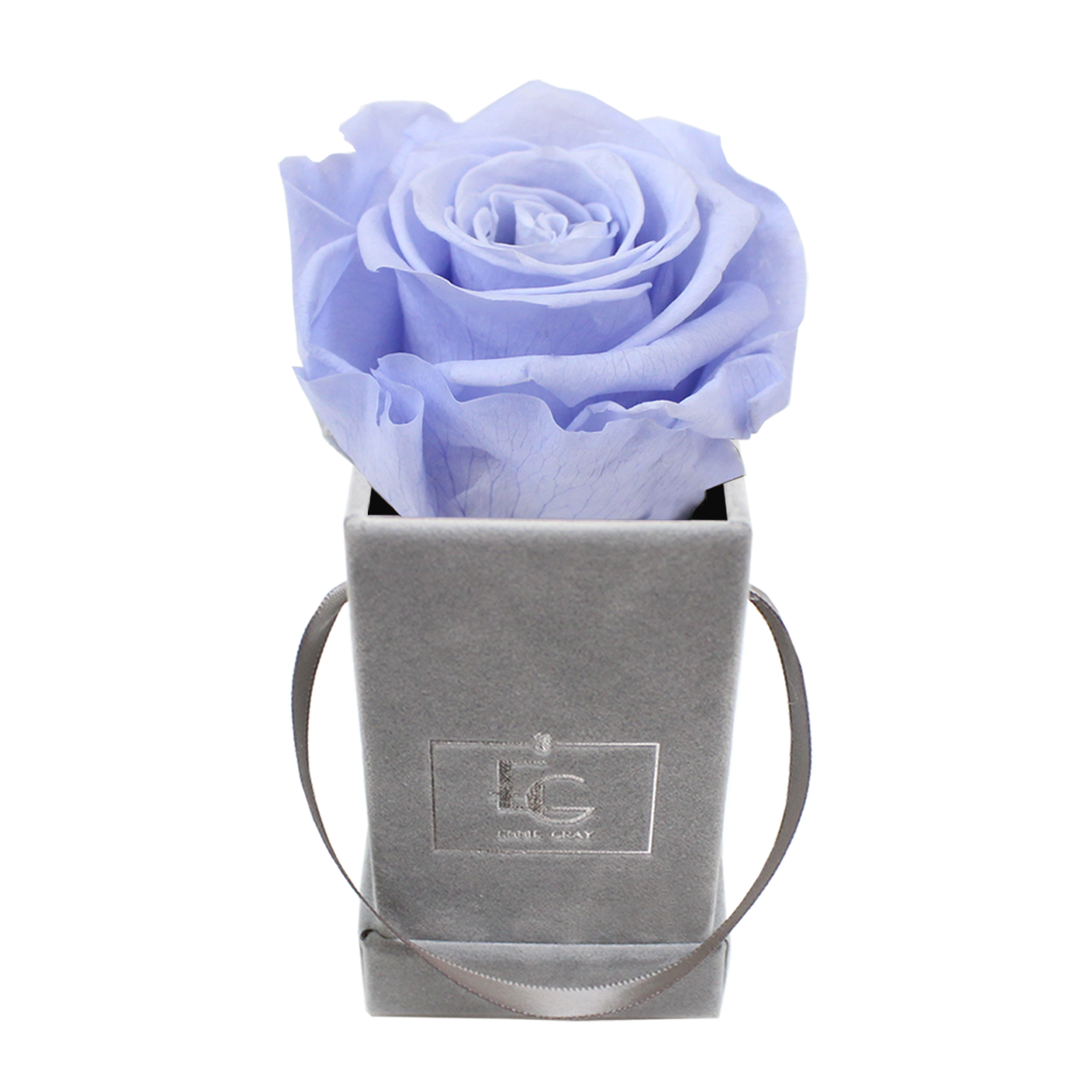 CLASSIC INFINITY ROSEBOX | COOL LAVENDER | XXS
