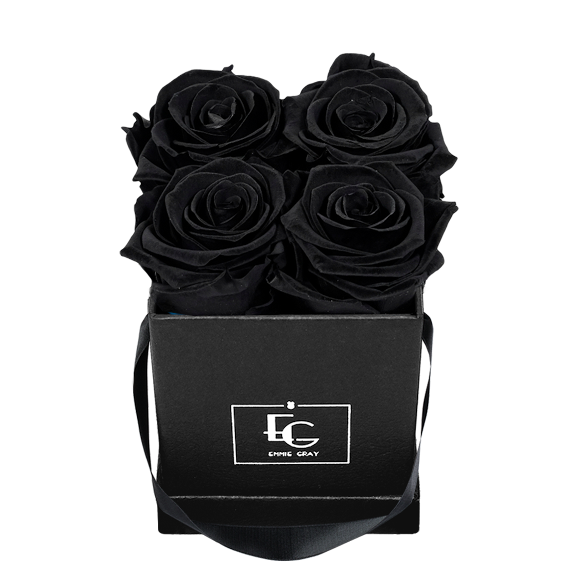 CLASSIC INFINITY ROSEBOX | BLACK BEAUTY | XS