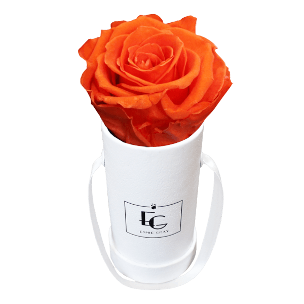 CLASSIC INFINITY ROSEBOX | ORANGE FLAME | XXS