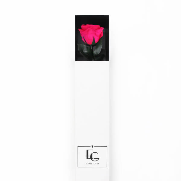 Long Stem Infinity Rose | Hot Pink | 1 Rose