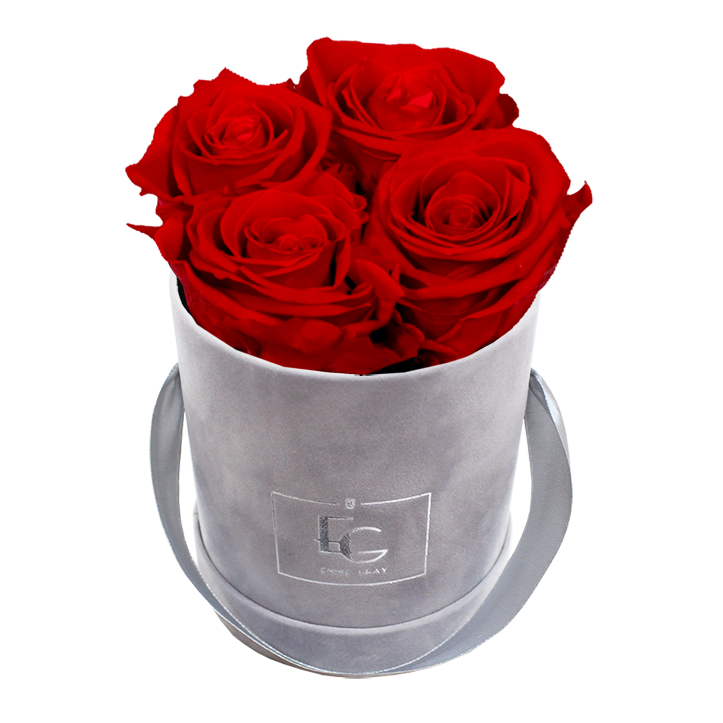 CLASSIC INFINITY ROSEBOX | VIBRANT RED | XS