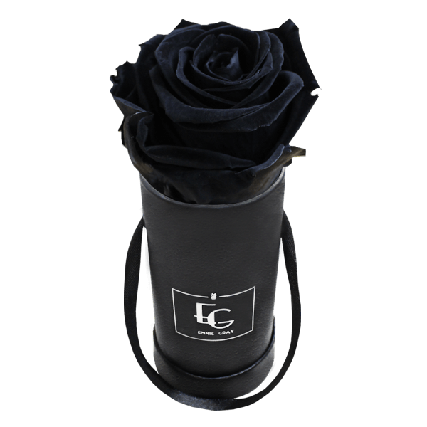 CLASSIC INFINITY ROSEBOX | BLACK BEAUTY | XXS