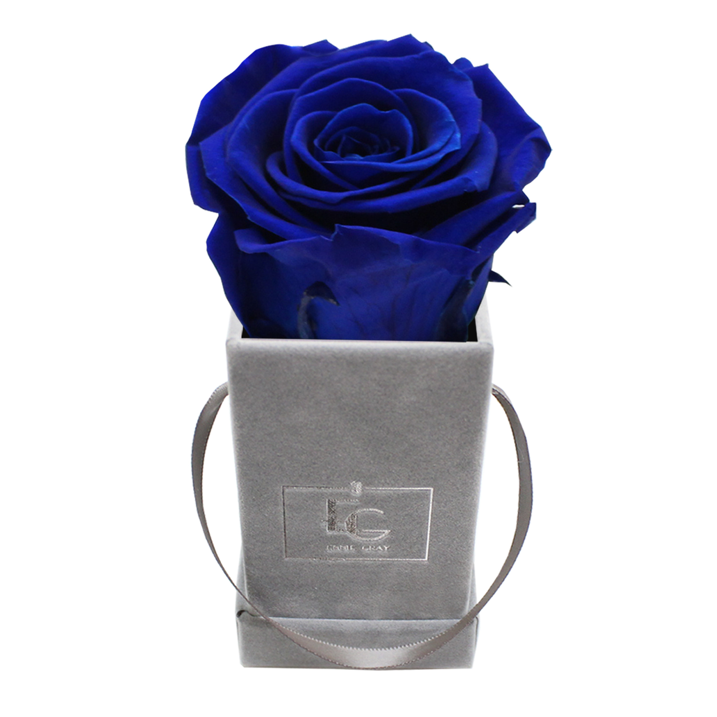 CLASSIC INFINITY ROSEBOX | OCEAN BLUE | XXS