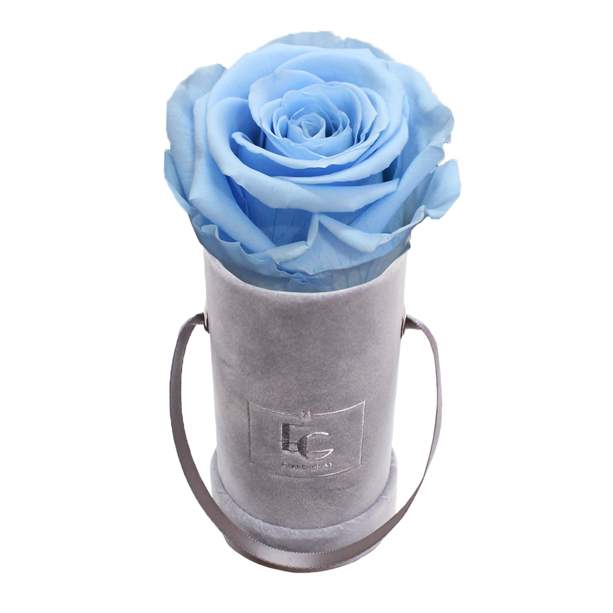 CLASSIC INFINITY ROSEBOX | BABY BLUE | XXS CLASSIC INFINITY ROSEBOX | BABY BLUE | XXS