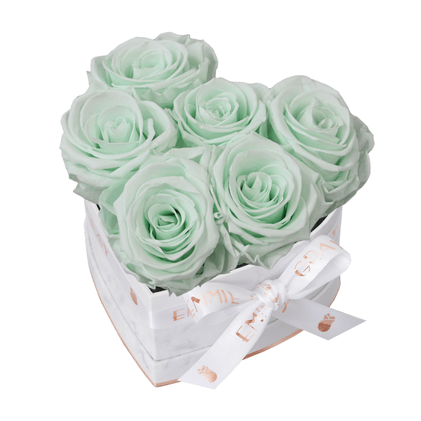 Classic Infinity Rosebox | Minty Green | S