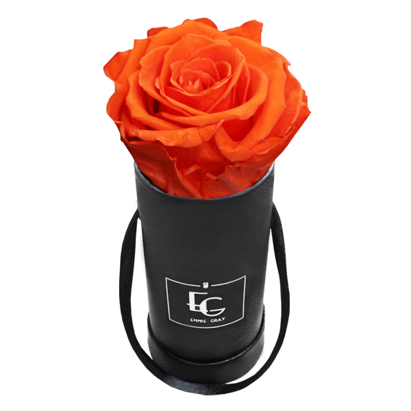 CLASSIC INFINITY ROSEBOX | ORANGE FLAME | XXS