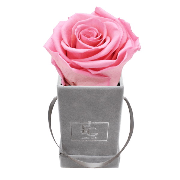 CLASSIC INFINITY ROSEBOX | BRIDAL PINK | XXS