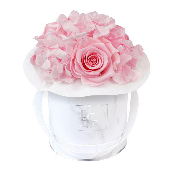 Splendid Hydrangea Infinity Rosebox | Bridal Pink | XS