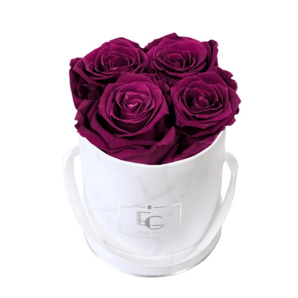 CLASSIC INFINITY ROSEBOX | VELVET PLUM | XS