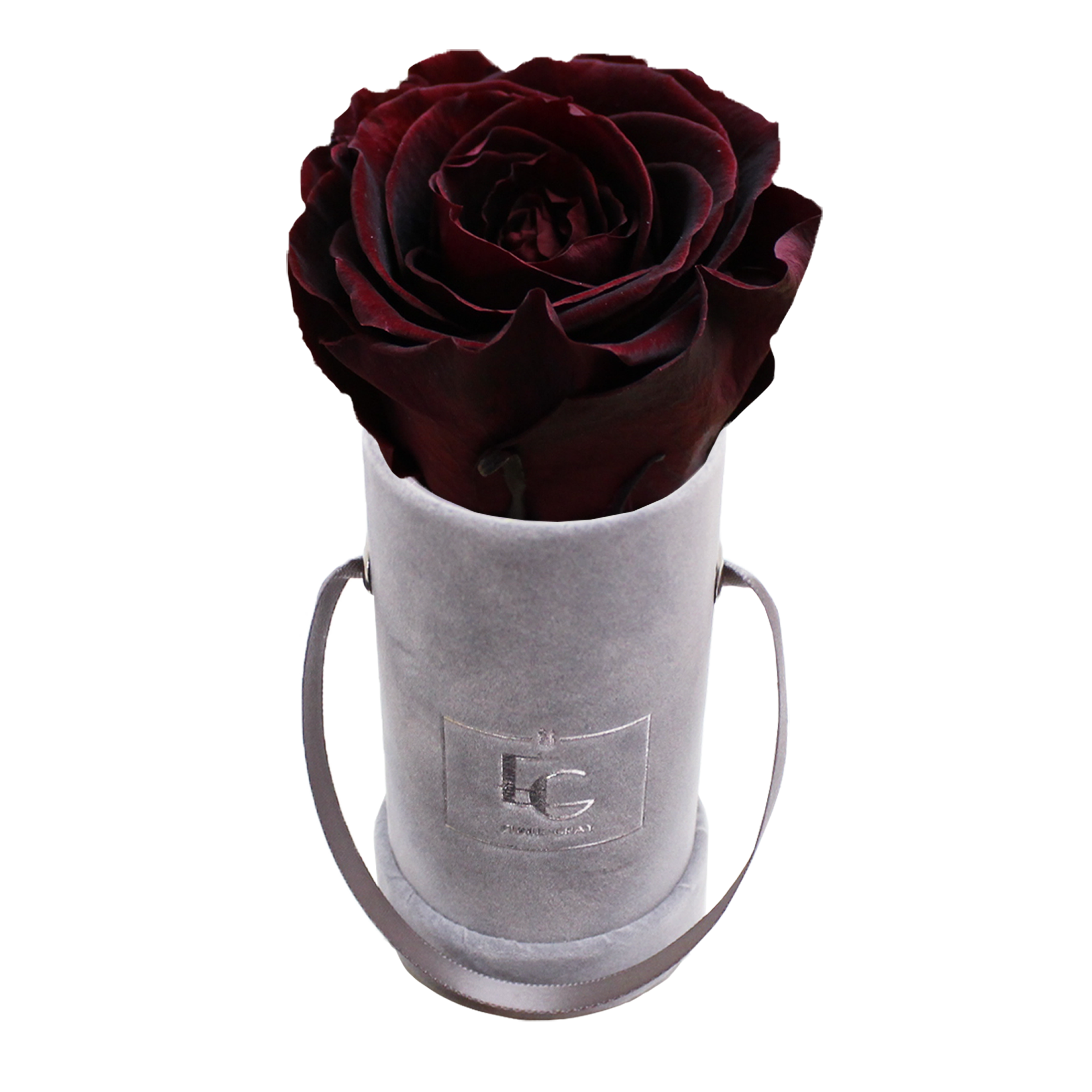 CLASSIC INFINITY ROSEBOX | BURGUNDY | XXS CLASSIC INFINITY ROSEBOX | BURGUNDY | XXS