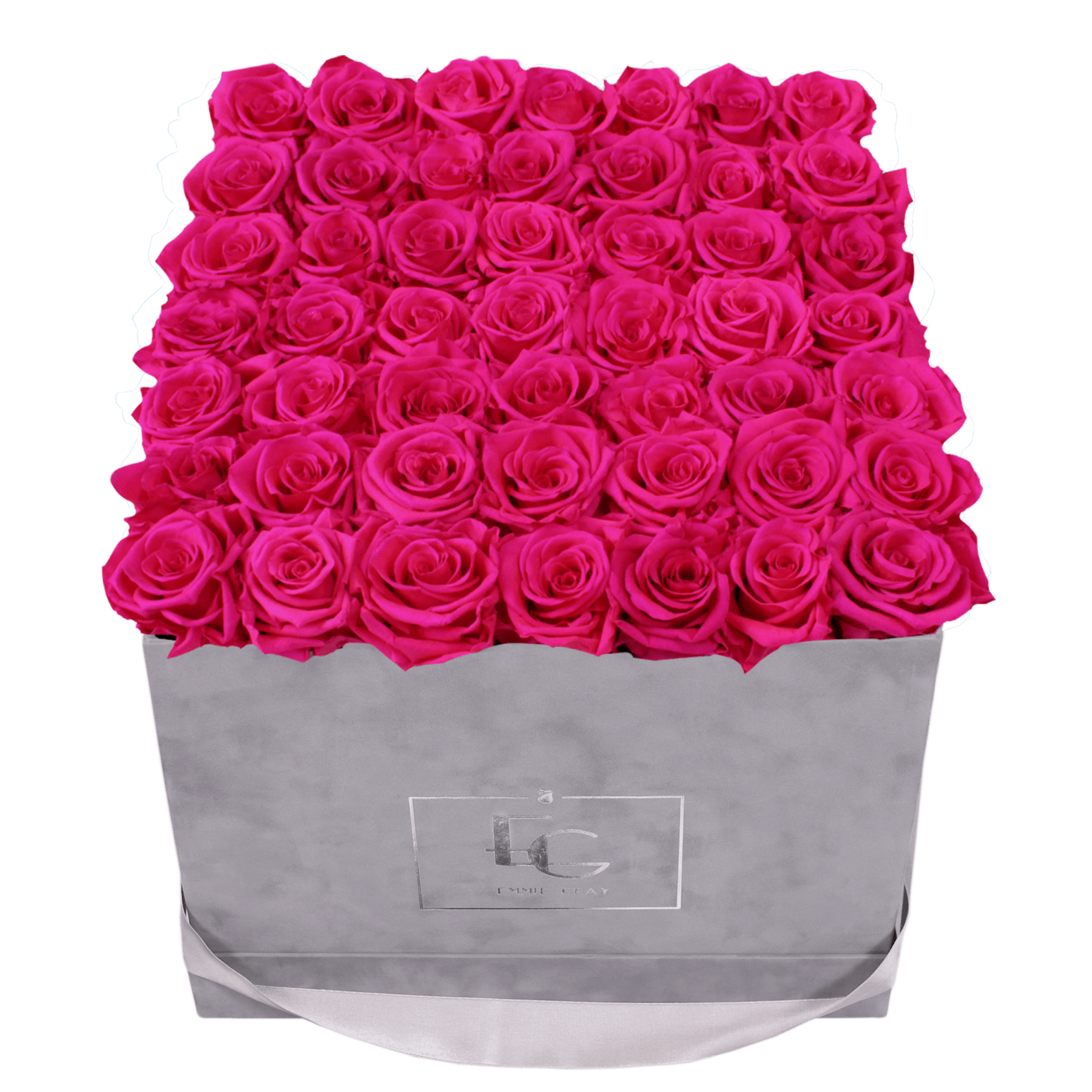 CLASSIC INFINITY ROSEBOX | HOT PINK | L