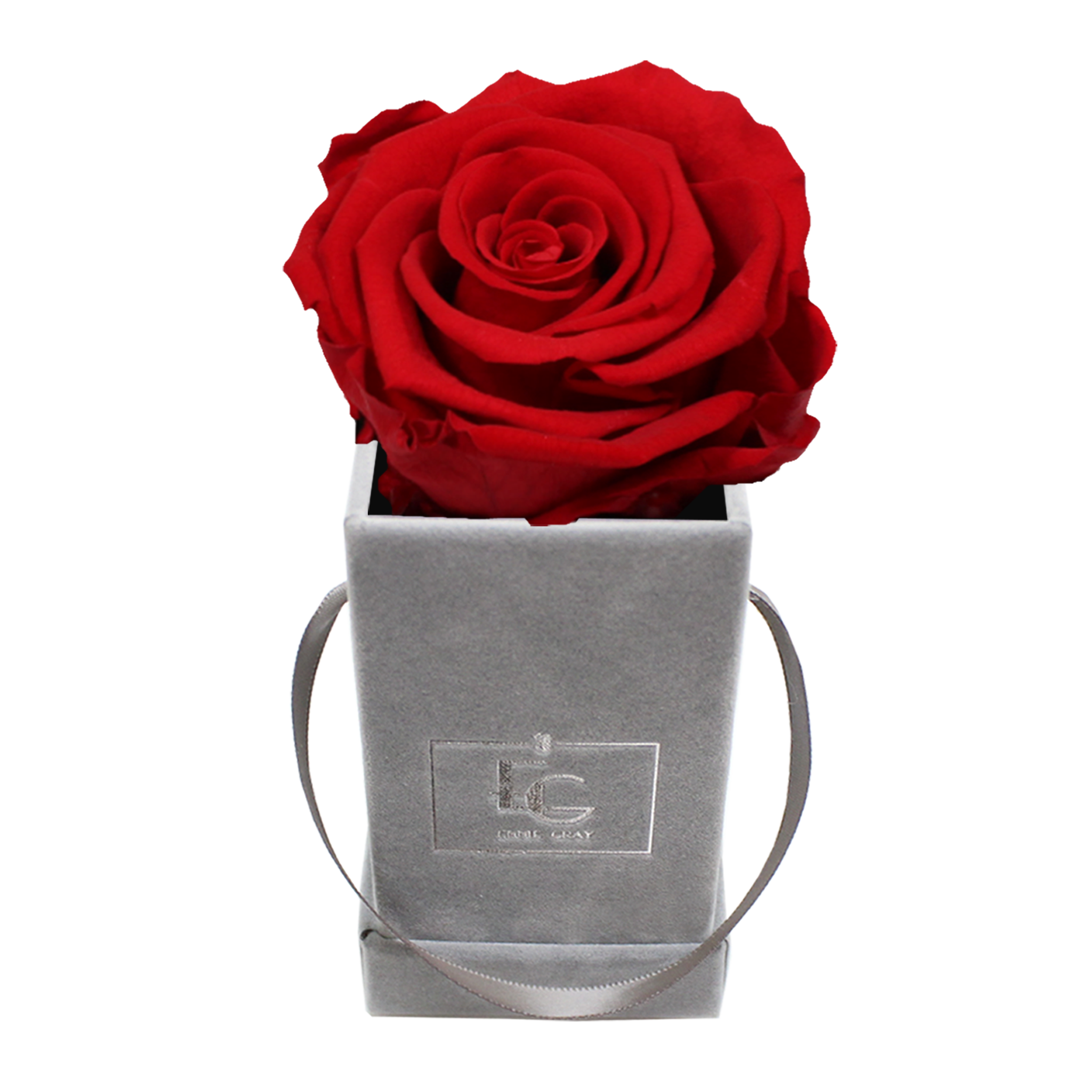 CLASSIC INFINITY ROSEBOX | VIBRANT RED | XXS