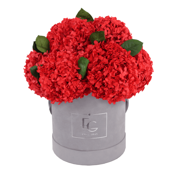 Signature Hydrangea Infinity Rosebox | Vibrant Red | M