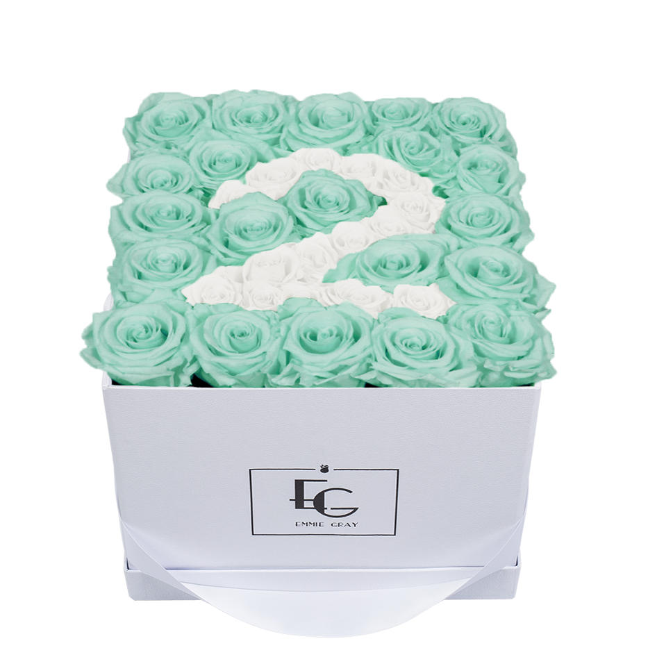 NUMBER INFINITY ROSEBOX | MINTY GREEN & PURE WHITE | M NUMBER INFINITY ROSEBOX | MINTY GREEN & PURE WHITE | M
