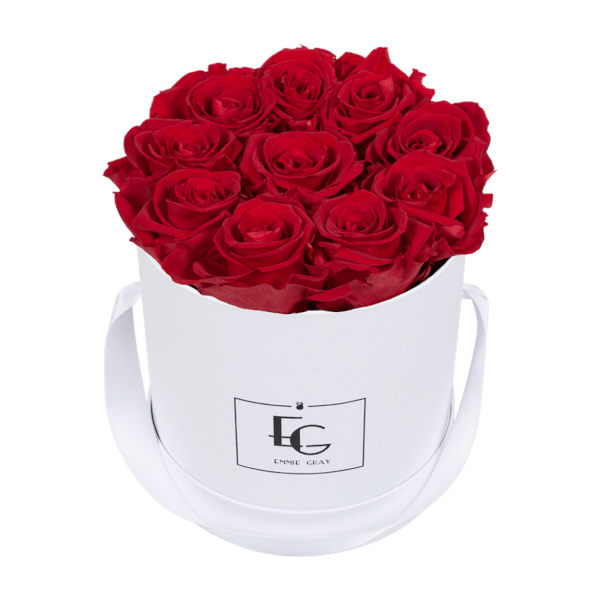 CLASSIC INFINITY ROSEBOX | VIBRANT RED | S