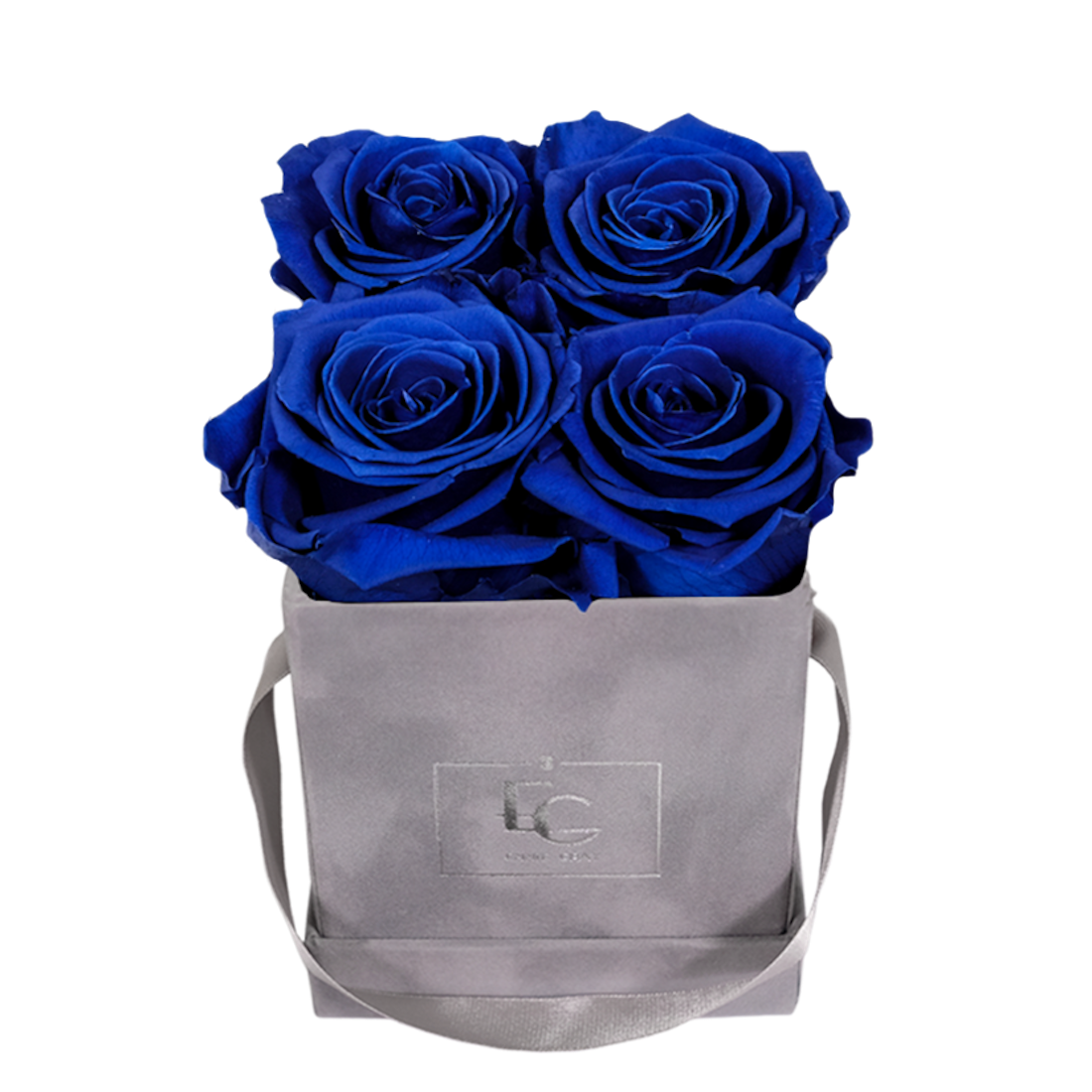 CLASSIC INFINITY ROSEBOX | OCEAN BLUE | XS