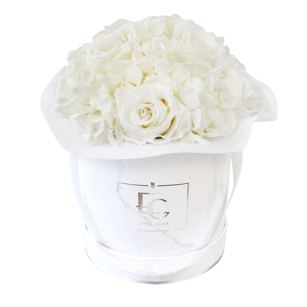 Splendid Hydrangea Infinity Rosebox | Pure White | S