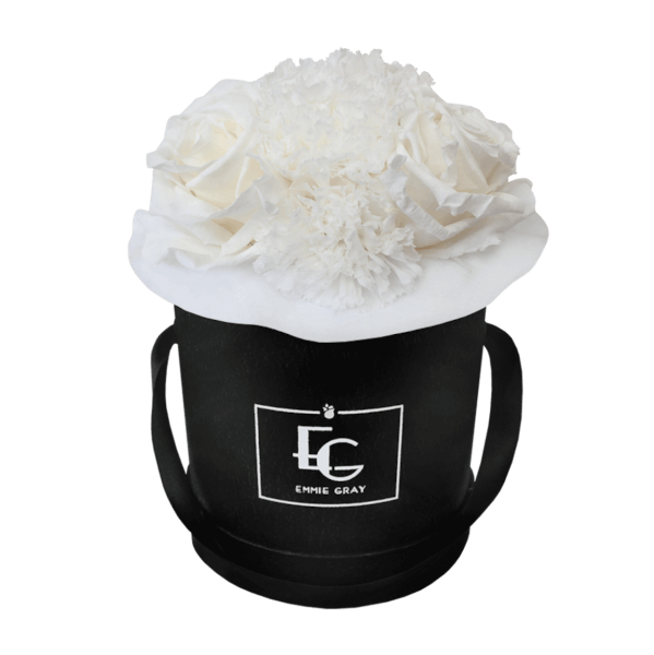 SPLENDID CARNATION INFINITY ROSEBOX | PURE WHITE | XS