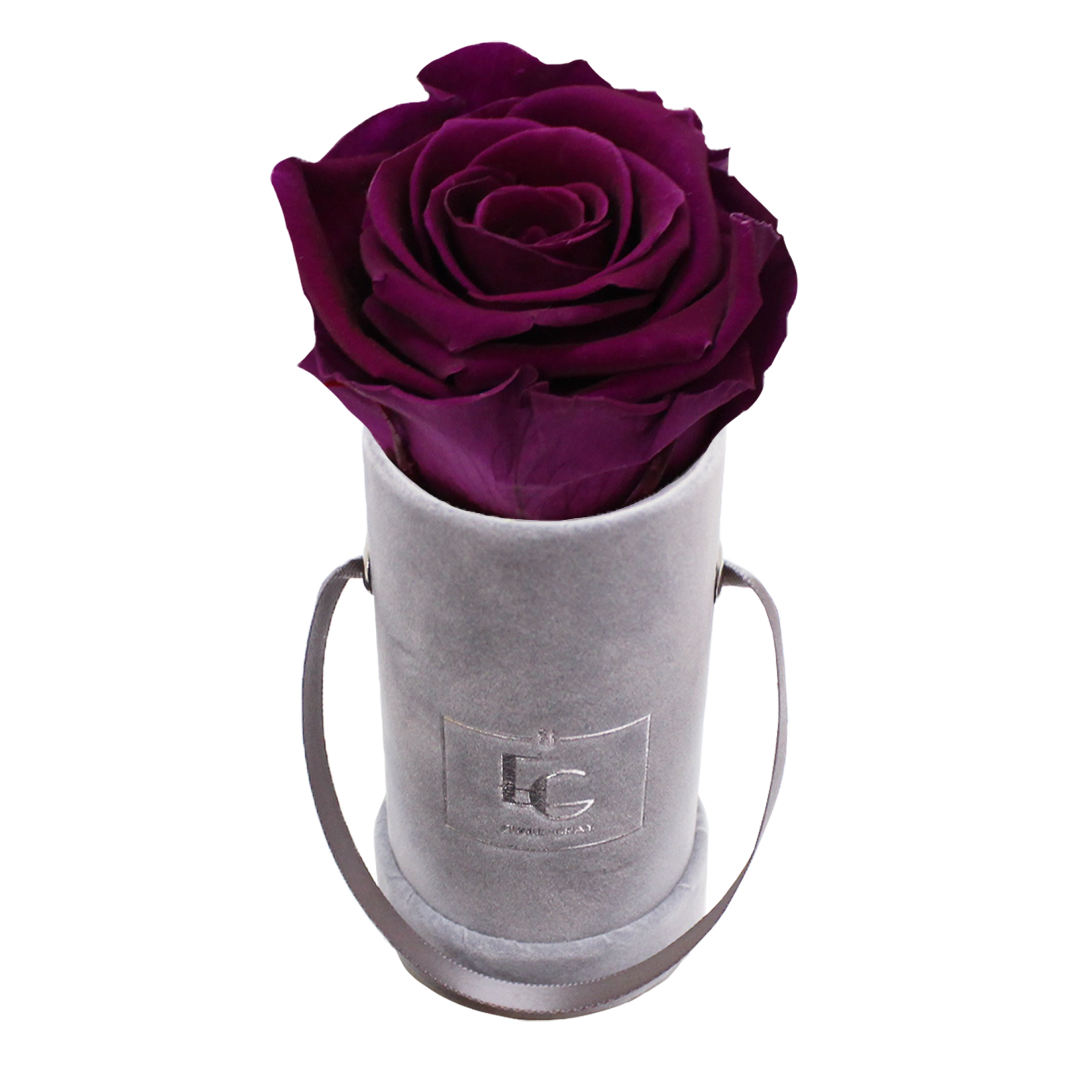 CLASSIC INFINITY ROSEBOX | VELVET PLUM | XXS CLASSIC INFINITY ROSEBOX | VELVET PLUM | XXS