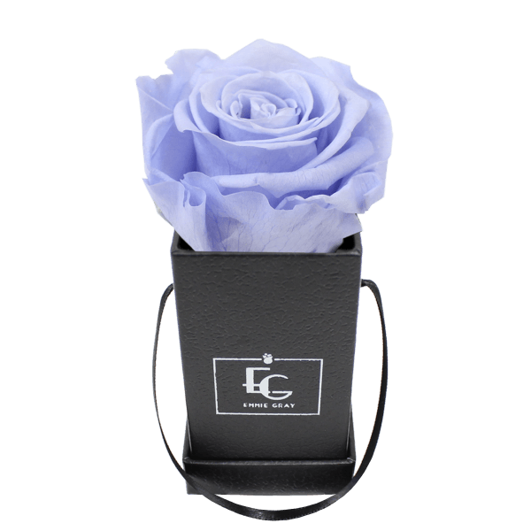 CLASSIC INFINITY ROSEBOX | COOL LAVENDER | XXS