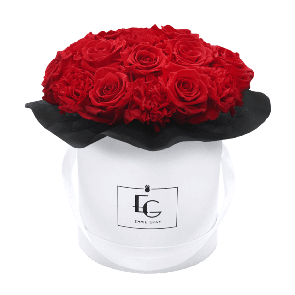 SPLENDID CARNATION INFINITY ROSEBOX | VIBRANT RED | S