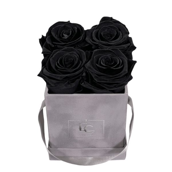 CLASSIC INFINITY ROSEBOX | BLACK BEAUTY | XS